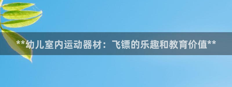 江苏星奥娱乐有限公司：**幼儿室内运动器材：飞镖的乐