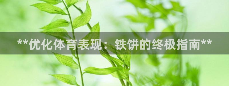 星欧娱乐平台怎么样可靠吗安全吗：**优化体育表现：铁