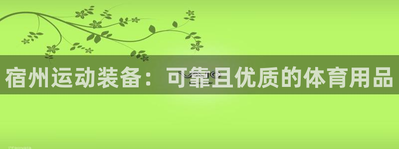 星欧娱乐法最新进展：宿州运动装备：可靠且优质的体育用品 